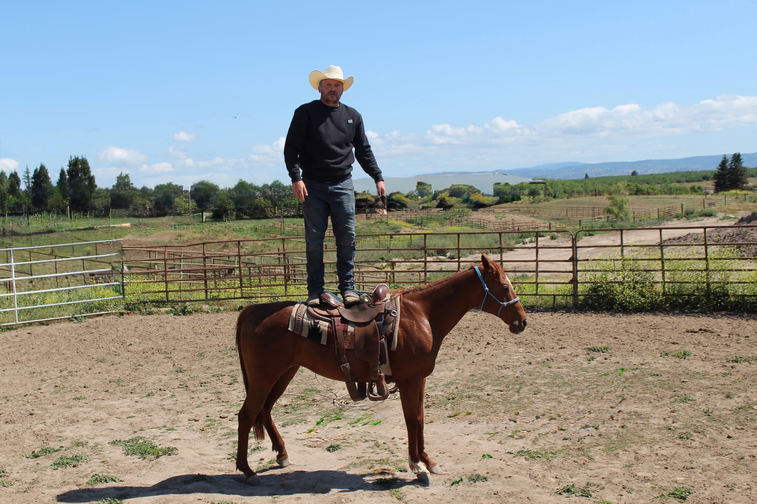 From untouched Colt to confident family prospect